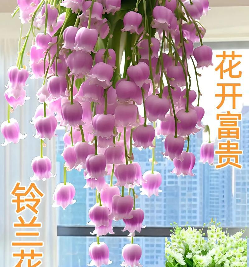 粉色铃兰花代表了什么？