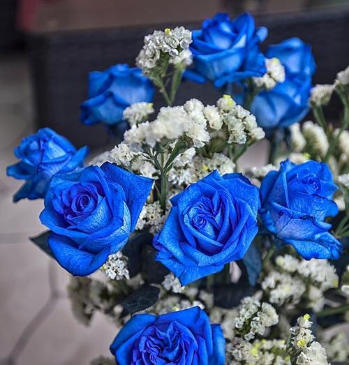 蓝色玫瑰花送闺蜜代表什么？蓝色玫瑰花的寓意是什么？
