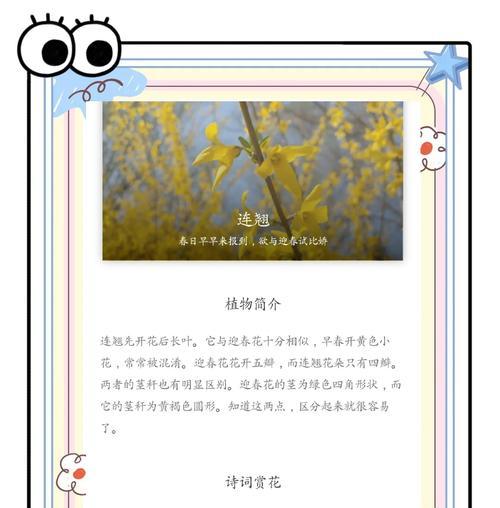 黄色花语通常代表什么含义？它象征着什么？