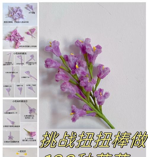哪种花象征着注重细节？它的花语是什么？
