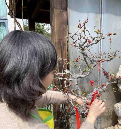 遵义花朝节的来历及意义是什么？花朝节有哪些传统习俗？