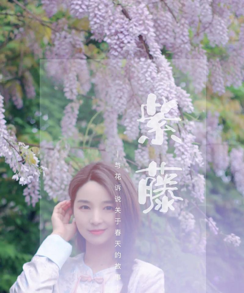 紫藤花在爱情中的含义是什么？