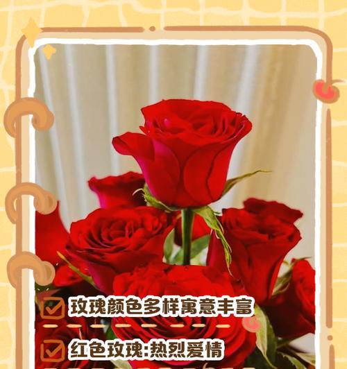 铜金色玫瑰花代表什么？铜金色玫瑰花的寓意是什么？