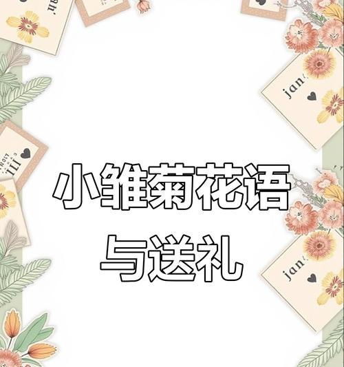 白色小雏菊的花语是什么？