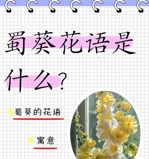 师尊花语大全是什么？祝福师尊的花语有哪些？
