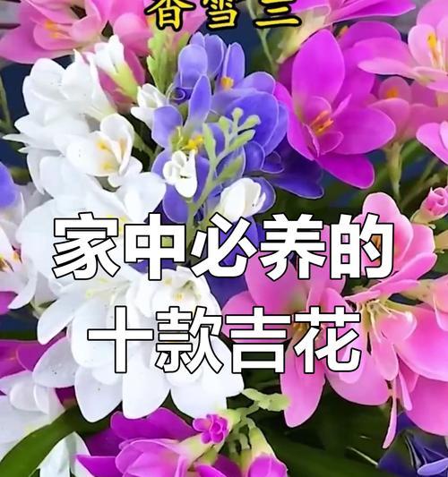 白色的花代表什么寓意？如何挑选寓意吉祥的白色花卉？