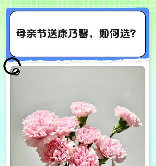 什么节日送什么花的意义是什么？如何选择？