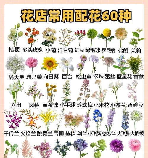圣诞节常用的花材有哪些？它们的花语和寓意是什么？