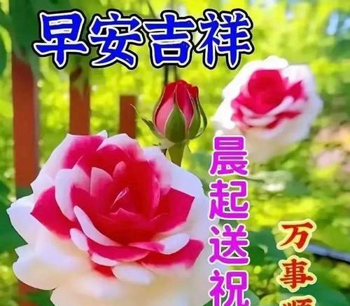 哪些花象征美好祝福？美好祝福的花有哪些特点？