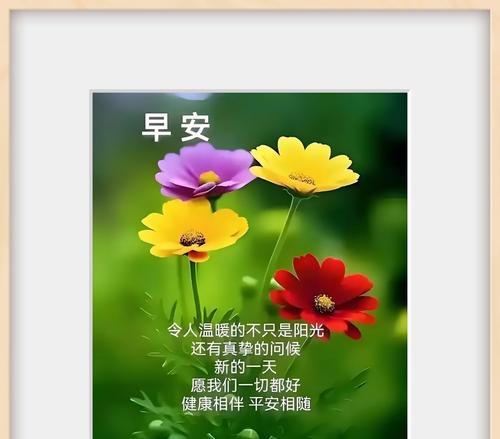 哪些花象征美好祝福？美好祝福的花有哪些特点？
