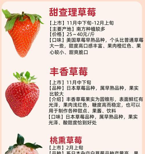 草莓情人节花语是什么？草莓情人节有什么特别的花语吗？