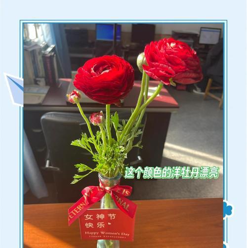 牡丹花语颜色有哪些？花语大全是什么？