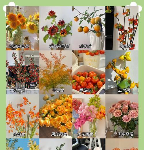 灰色花象征长寿吗？灰色长寿花的寓意是什么？