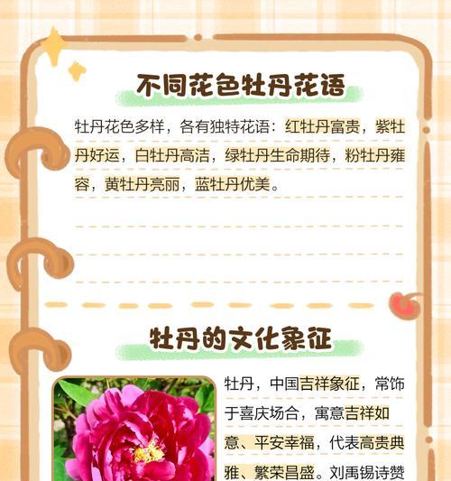 春节用什么花语祝福？有哪些吉祥的花语推荐？