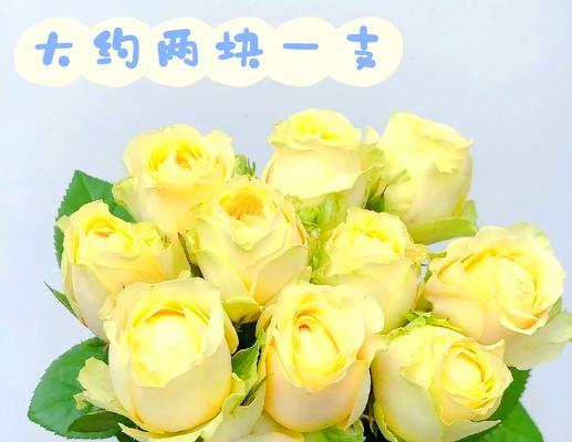 三支黄色玫瑰代表什么？送花的正确方式是什么？