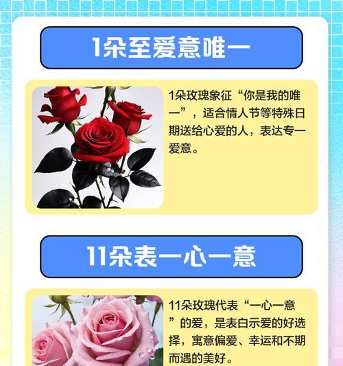 送多种颜色玫瑰花的寓意是什么？不同颜色玫瑰的含义？