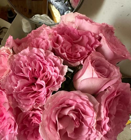 送多种颜色玫瑰花的寓意是什么？不同颜色玫瑰的含义？