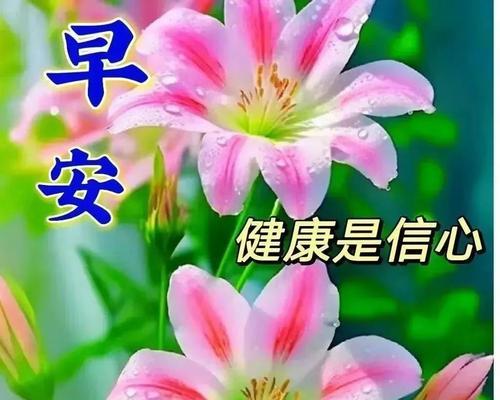 花寓意的美好祝福有哪些？花卉如何传递祝福？