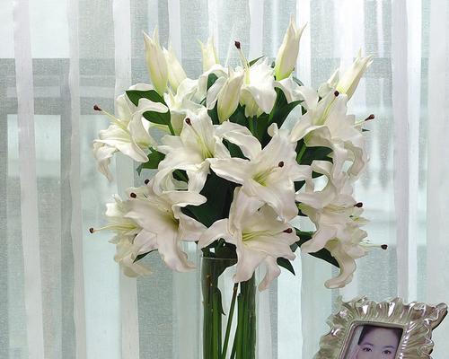 放假快乐的花有哪些？它们的寓意是什么？