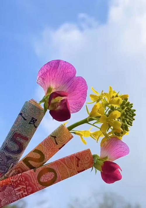 风花节摆设的花有哪些特别寓意？