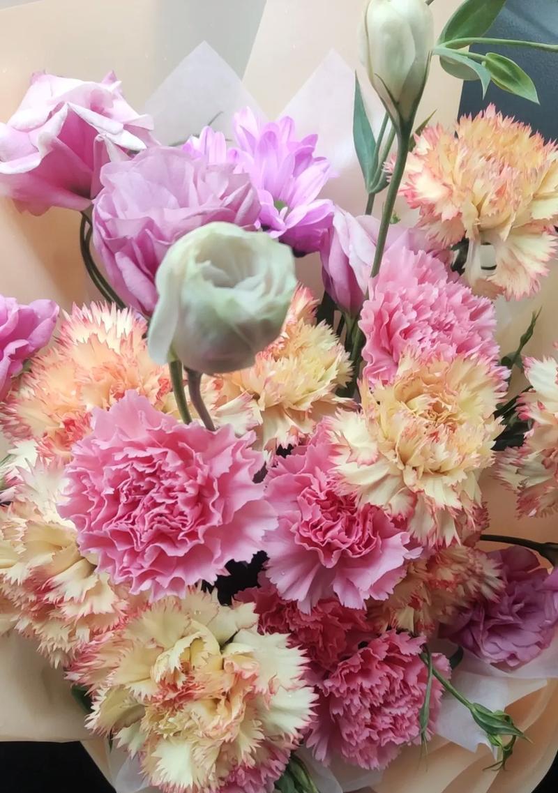 三八妇女节送什么花寓意最佳？