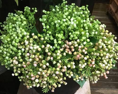文采与爱情浪漫花语有何关联？