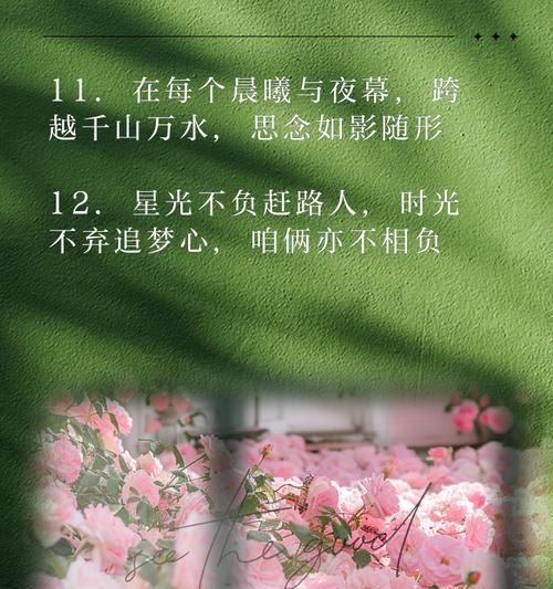 哪种花寓意异地恋爱情长久？如何用花表达异地恋的爱？