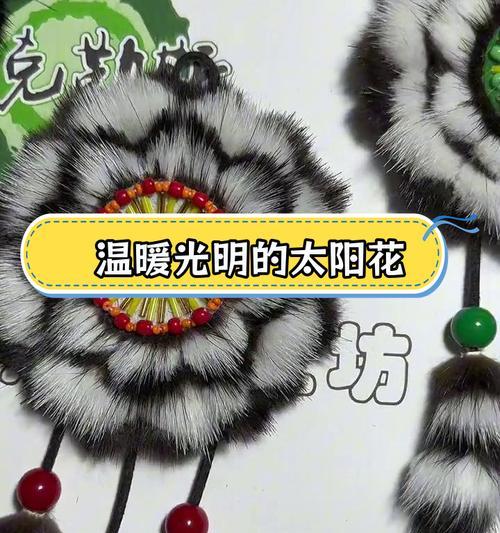 太阳花的含义是什么？它在文化中代表什么？