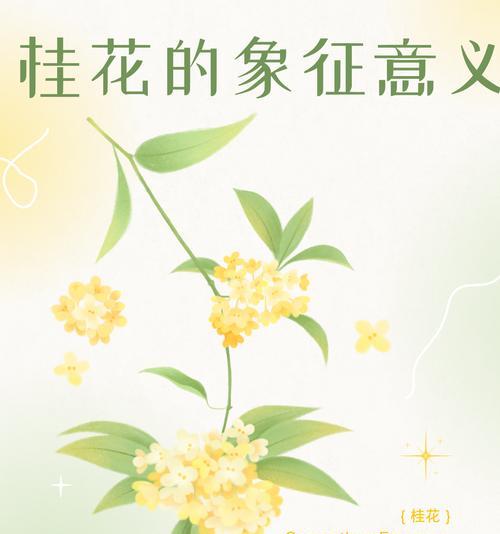 哪种花寓意好运？好运花的含义是什么？