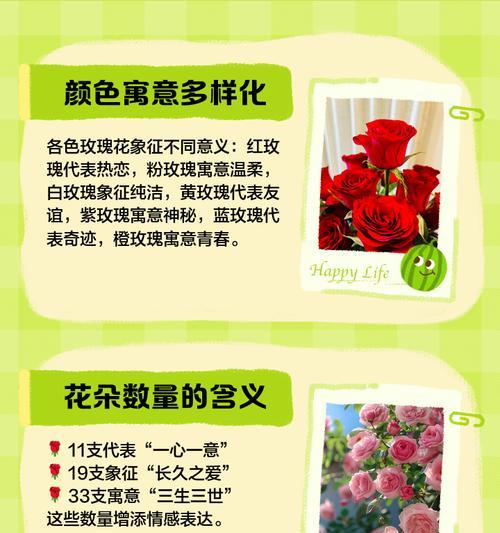 玫瑰花颜色及其象征意义是什么？