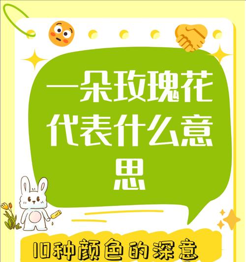 玫瑰花颜色及其象征意义是什么？