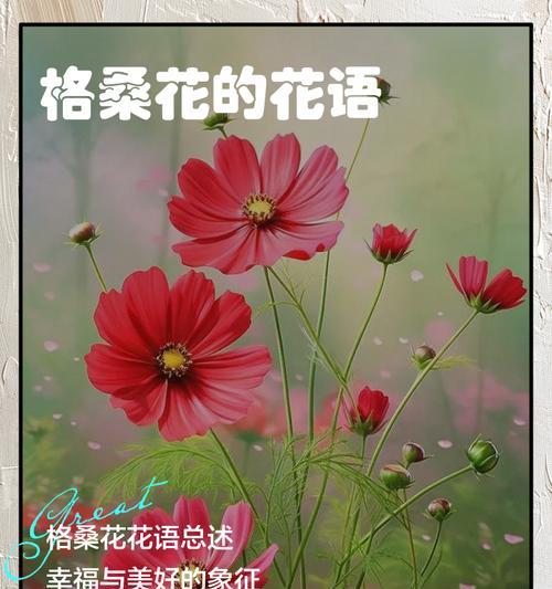 哪种颜色的花寓意美好？它们的花语是什么？