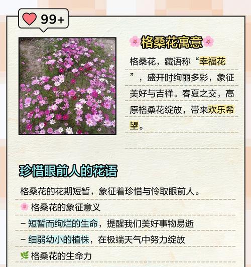 哪种颜色的花寓意美好？它们的花语是什么？