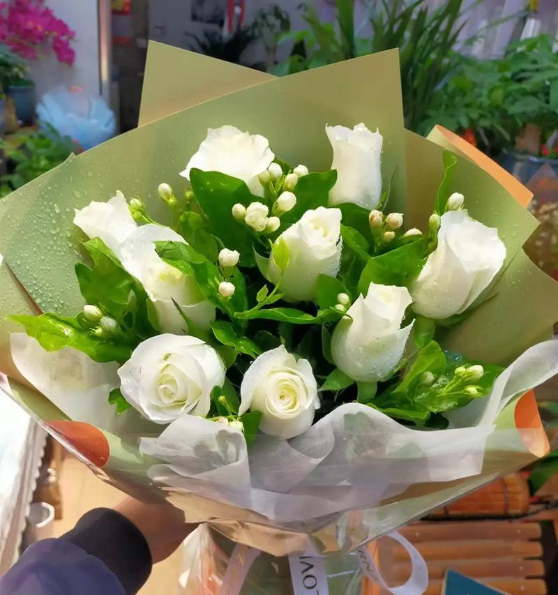 白绿色玫瑰花象征着什么？