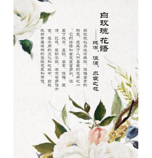 白色花语的作者是谁？白色花语有何特别含义？
