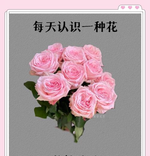 粉荔枝的花语是什么？它象征着什么浪漫？