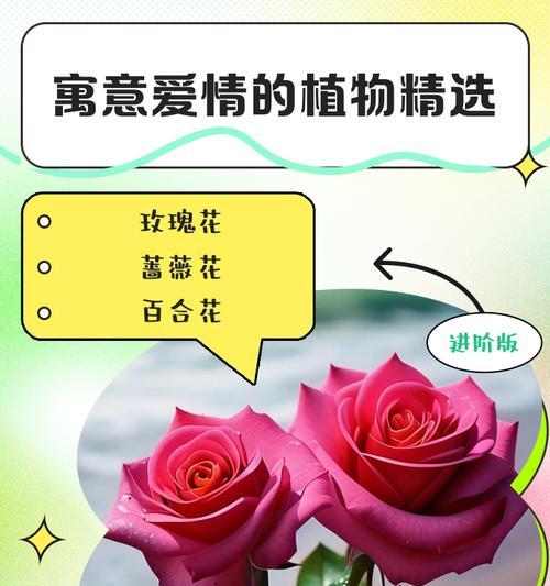 哪些花象征爱情？爱情花语有哪些？