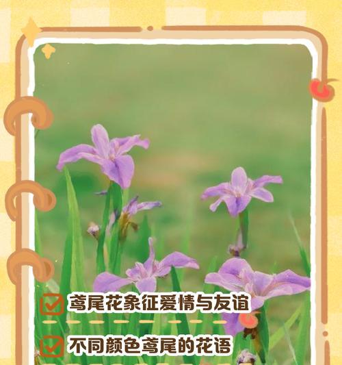 爱情绽放的花语大全是什么？爱情花语有哪些？