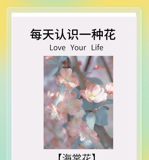 哪种颜色的花寓意最好？送花时颜色选择有何讲究？