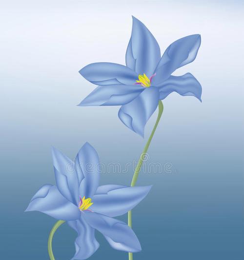 偏蓝色的花象征着什么？蓝色花的寓意有哪些？