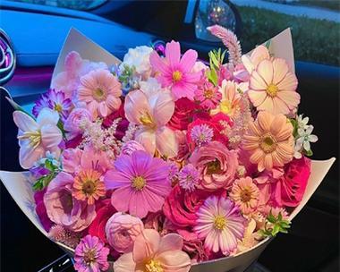 沛县浪漫花语鲜花有哪些？如何挑选寓意美好的鲜花？