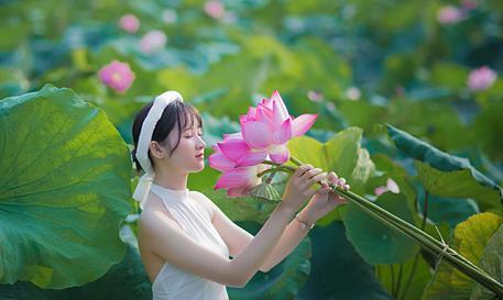 咖色莲蓬手捧花代表什么？其寓意是什么？