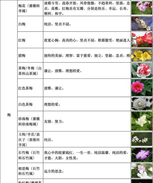 祝福花语是什么意思？如何通过花语传达祝福？