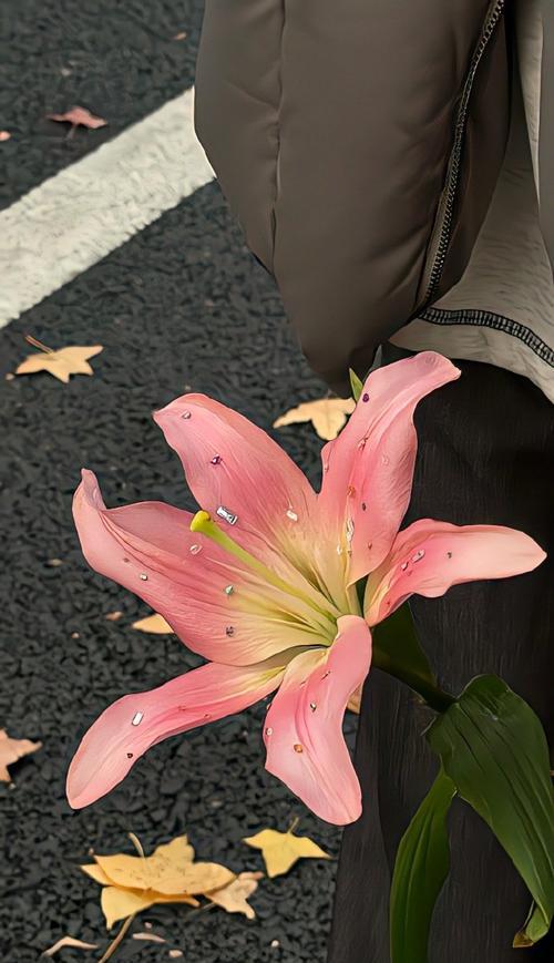 粉色花通常代表什么？粉色花的花语有哪些？