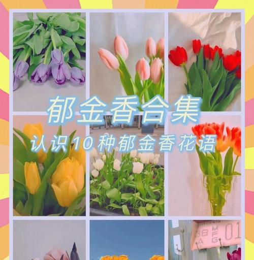 花语误判搞笑情节有哪些？如何避免花语误判？