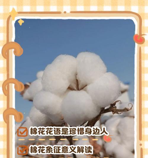 花语误判搞笑情节有哪些？如何避免花语误判？