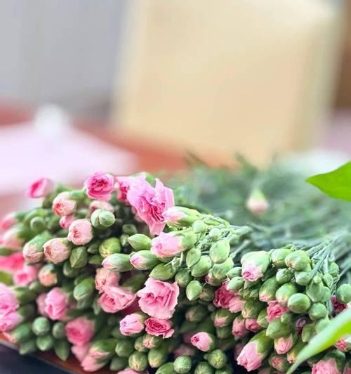 感恩节送什么花？感恩节花卉的寓意是什么？