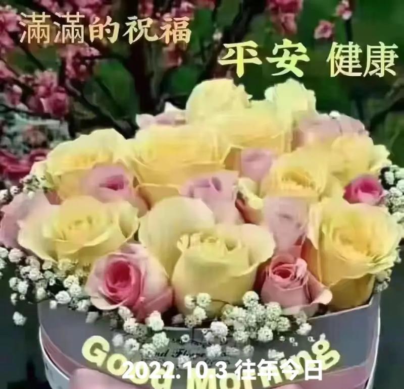 花语中幸福平安健康的含义是什么？哪些花代表幸福平安健康？