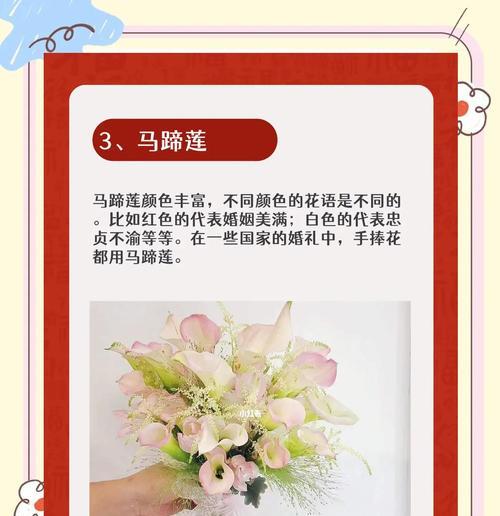 手捧花22代表什么含义？