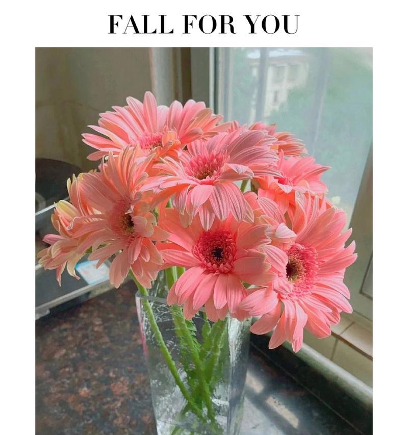 粉色的花通常代表什么含义？